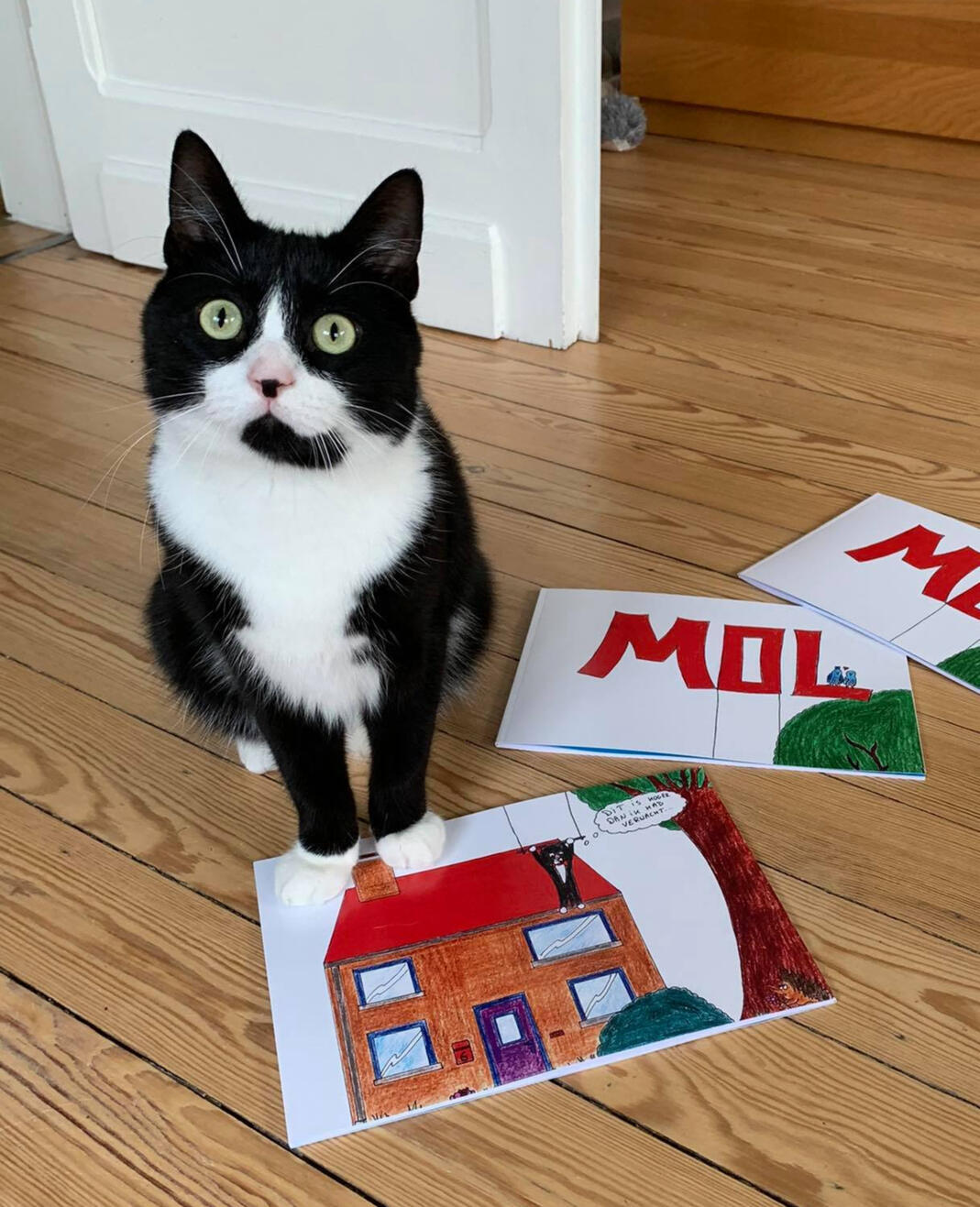 Mol de kat poseert trots met zijn eerste gedrukte stripverhaal